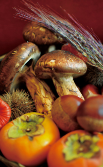 無尽蔵のお料理